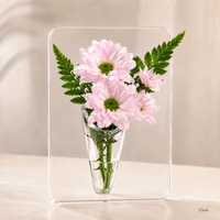 Transparent (No flowers)
