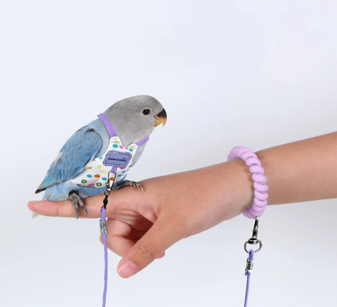 Parrot Outdoor Flight Set – Flight Suit + Lead