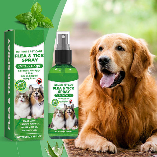 🐶🐱 Natural Flea and Tick Spray – Safely and Effectively Protect Your Pets 🌿