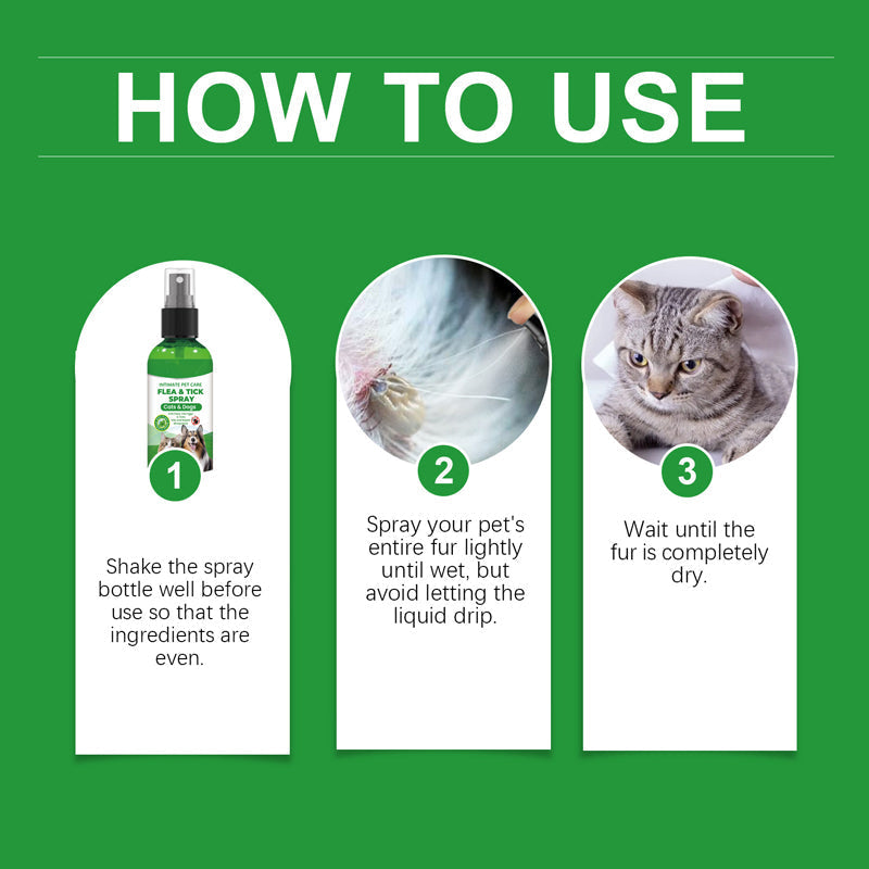 🐶🐱 Natural Flea and Tick Spray – Safely and Effectively Protect Your Pets 🌿
